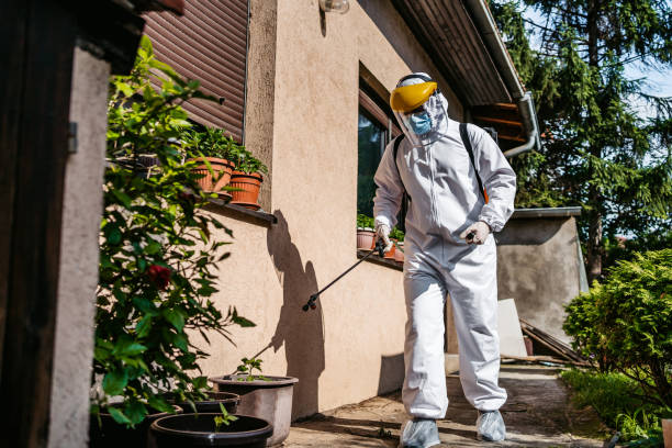 Best Wasp Removal Services  in Myrtle Beach, SC