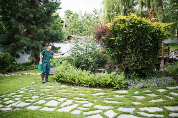 Reliable Myrtle Beach, SC Pest Control Solutions