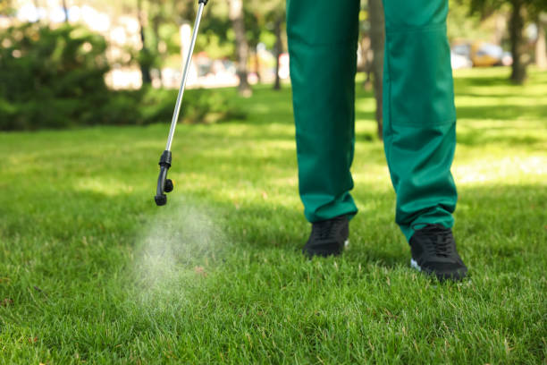 Best Commercial Pest Control Services  in Myrtle Beach, SC