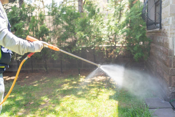 Best Mosquito Control Services  in Myrtle Beach, SC